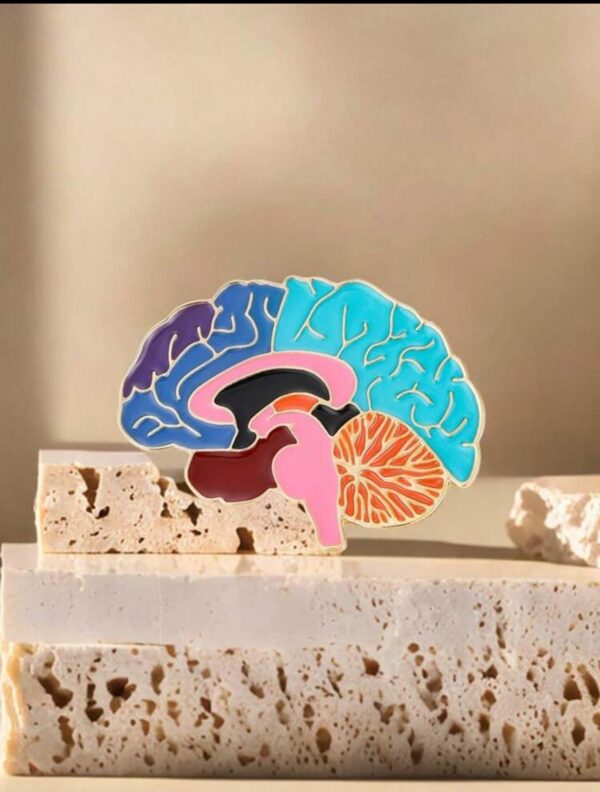 Estructura anatómica del esmalte cerebral Pin de solapa - Imagen 6