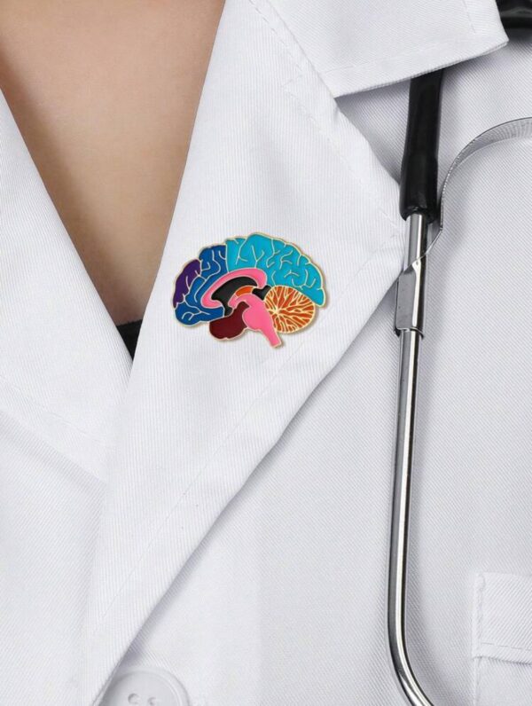 Estructura anatómica del esmalte cerebral Pin de solapa - Imagen 5