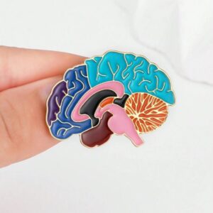 Estructura anatómica del esmalte cerebral Pin de solapa