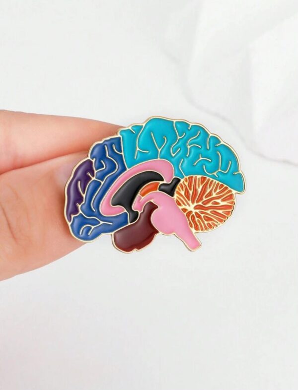 Estructura anatómica del esmalte cerebral Pin de solapa