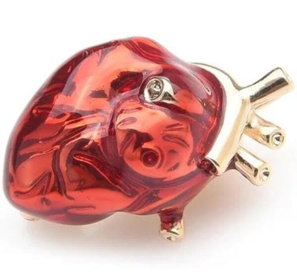 Broches de corazón esmaltados rojos para mujeres y hombres Hospital Clínica Profesional Uniforme Broche Pins Team, Metal Zinc Acrílico, Metal Zinc Acrílico - Imagen 3